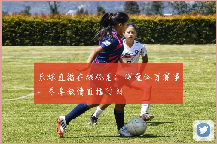 乐球直播在线观看：海量体育赛事，尽享激情直播时刻