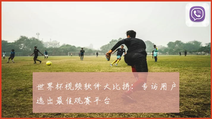 世界杯视频软件大比拼：专访用户选出最佳观赛平台