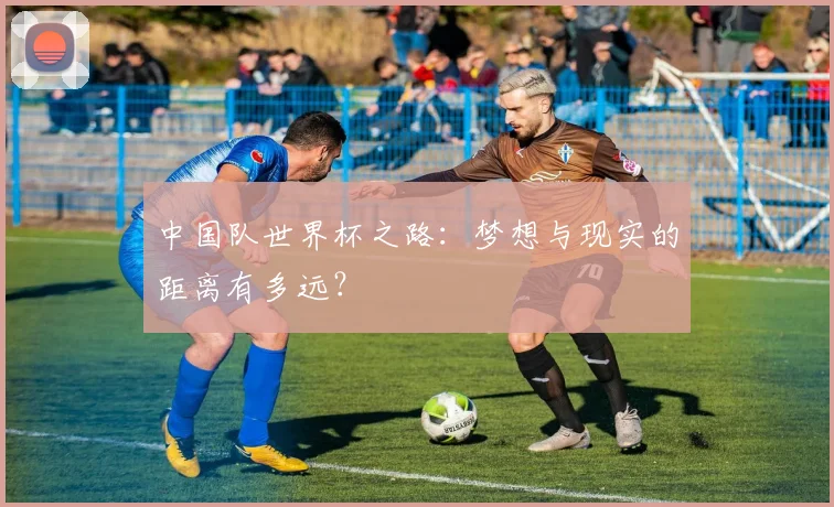 中国队世界杯之路:梦想与现实的距离有多远?