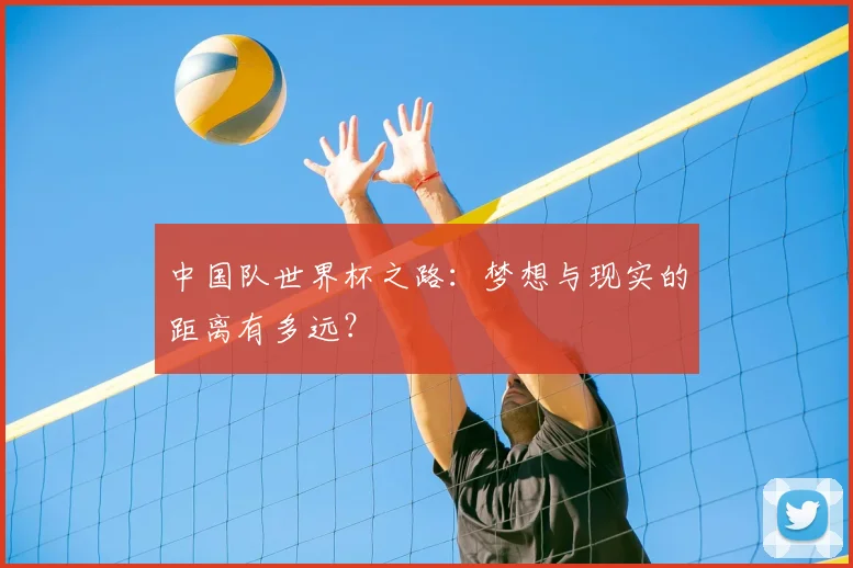 中国队世界杯之路:梦想与现实的距离有多远?