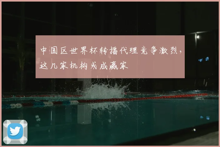 中国区世界杯转播代理竞争激烈,这几家机构或成赢家