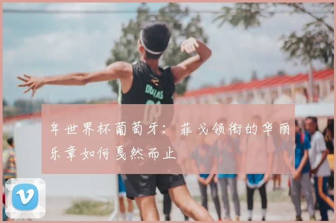 年世界杯葡萄牙:菲戈领衔的华丽乐章如何戛然而止