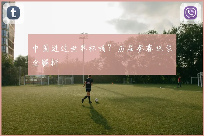 中国进过世界杯吗?历届参赛记录全解析