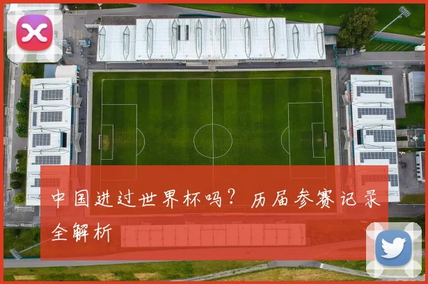 中国进过世界杯吗?历届参赛记录全解析