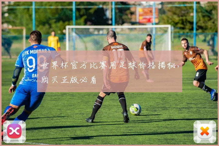 世界杯官方比赛用足球价格揭秘，购买正版必看