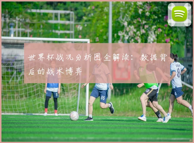 世界杯战况分析图全解读：数据背后的战术博弈