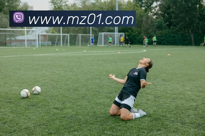 开云在线官网登录入口APP 封面图